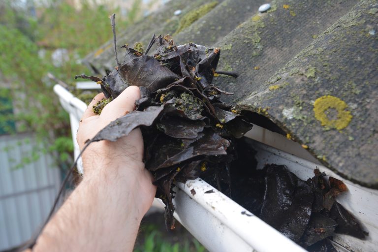 Roofer Cleaning Rain Gutter from Leaves in Spring. Roof Gutter Cleaning Tips. Clean Your Gutters Before They Clean Out Your Wallet. Gutter Cleaning.